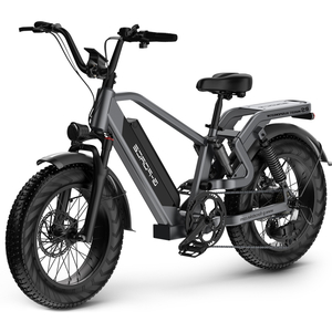 Men's All Terrain Fat Tire Electric Citycoco