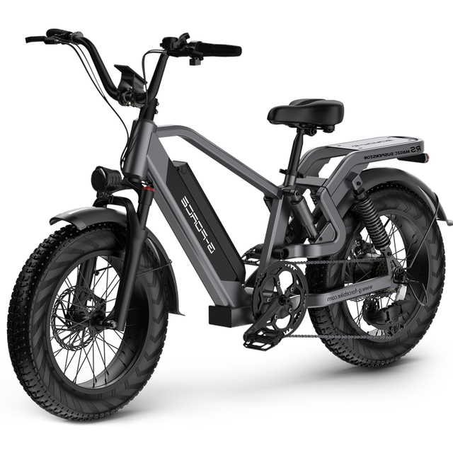 Men's All Terrain Fat Tire Electric Citycoco