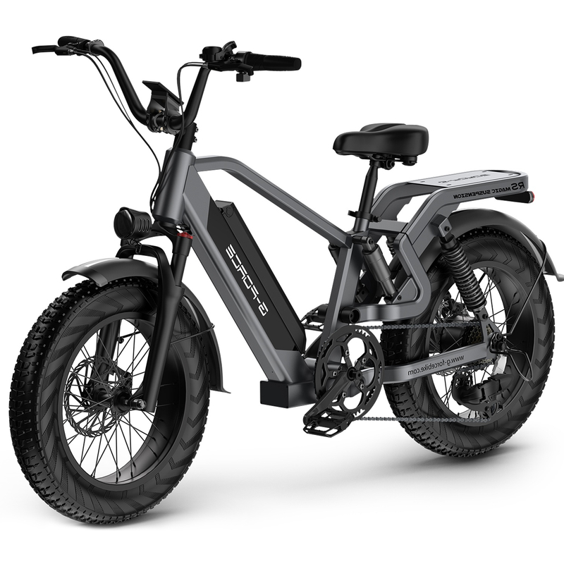 Men's All Terrain Fat Tire Electric Citycoco
