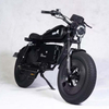 Hyper-Storm E-Bike
