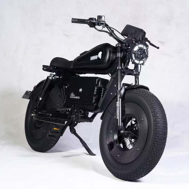1500W Turbo Electric Bike