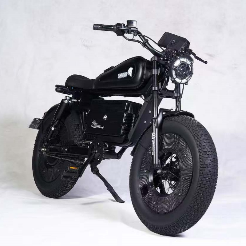 1500W Turbo Electric Bike