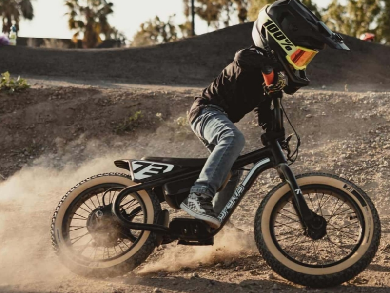 Can Off-road Electric Bicycles Go on Mountain Roads?