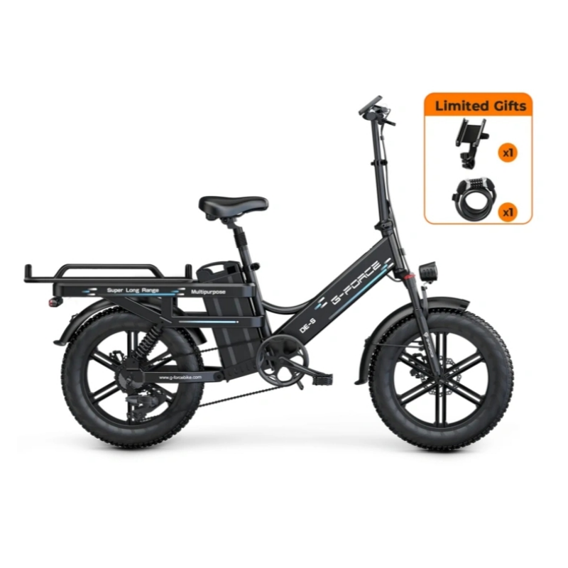 New Premium Fat Tire Wide Cargo Electric Citycoco