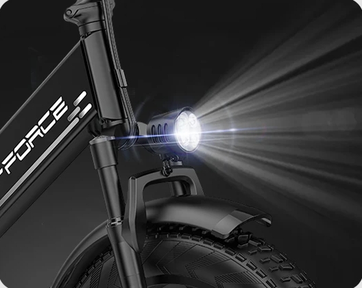 New Premium Fat Tire Wide Cargo Electric Citycoco