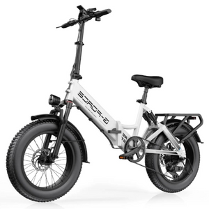 750W Affordable Folding Electric Citycoco