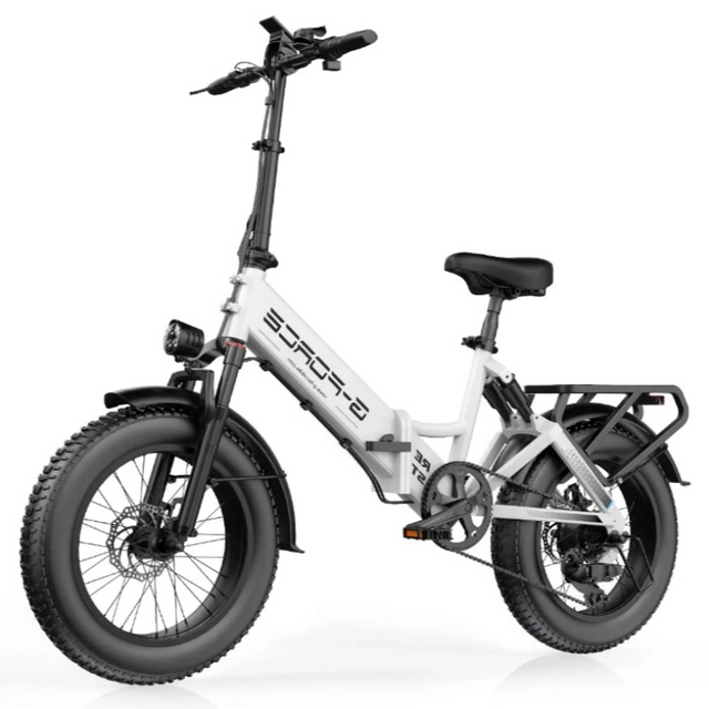 750W Affordable Folding Electric Citycoco