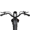 Men's All Terrain Fat Tire Electric Citycoco