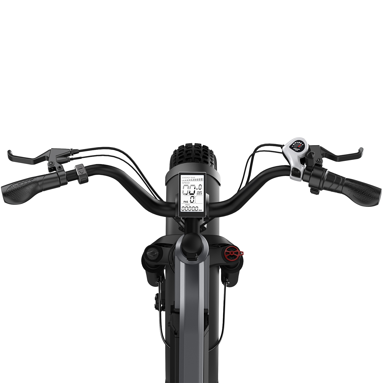 Men's All Terrain Fat Tire Electric Citycoco