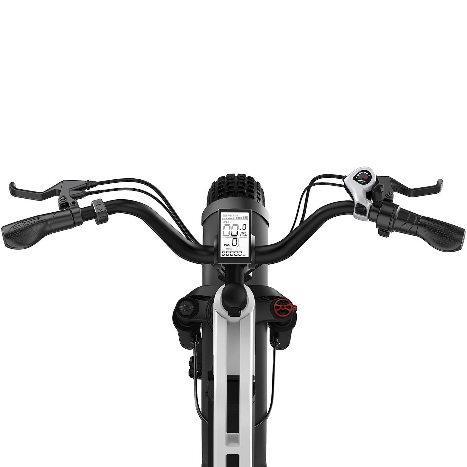 Women's Fat Tire Electric Citycoco