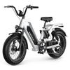 Women's Fat Tire Electric Citycoco