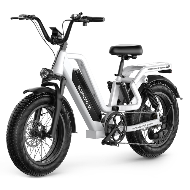 Women's Fat Tire Electric Citycoco