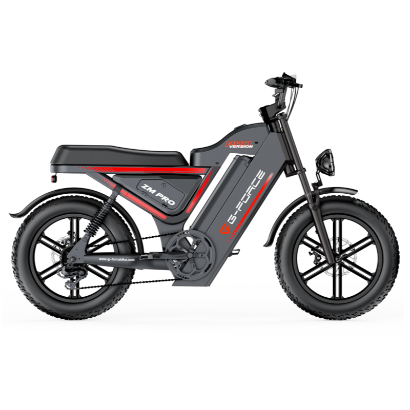 All-terrain Wide Tire Motorcycle Style Citycoco
