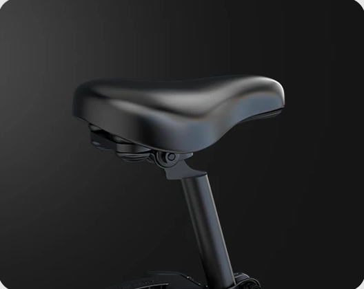New Premium Fat Tire Wide Cargo Electric Citycoco