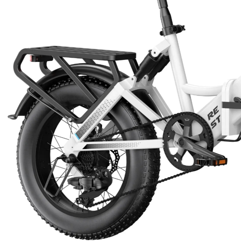 750W Affordable Folding Electric Citycoco