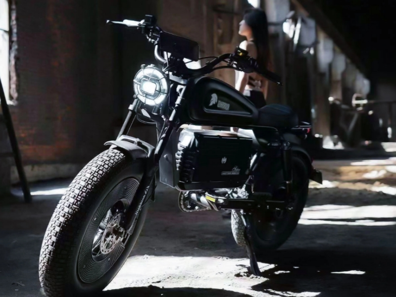 What Are The Types of Electric Bicycles? City Commuting Vs Folding Vs Cruising