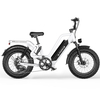 Women's Fat Tire Electric Citycoco