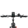 500W Foldable Electric Citycoco