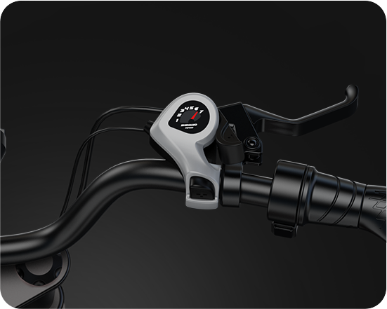 All-terrain Wide Tire Motorcycle Style Citycoco