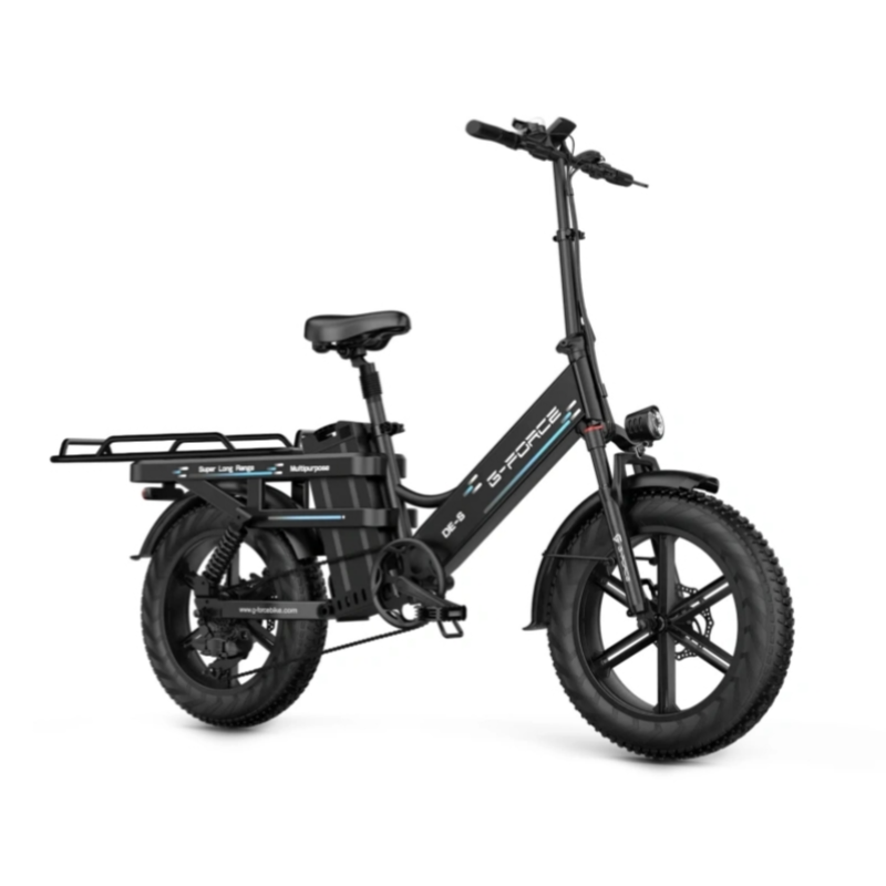 New Premium Fat Tire Wide Cargo Electric Citycoco