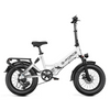 750W Affordable Folding Electric Citycoco
