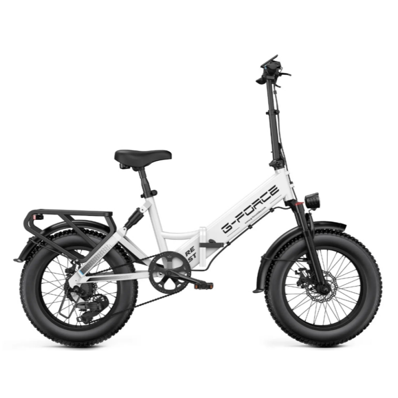 750W Affordable Folding Electric Citycoco