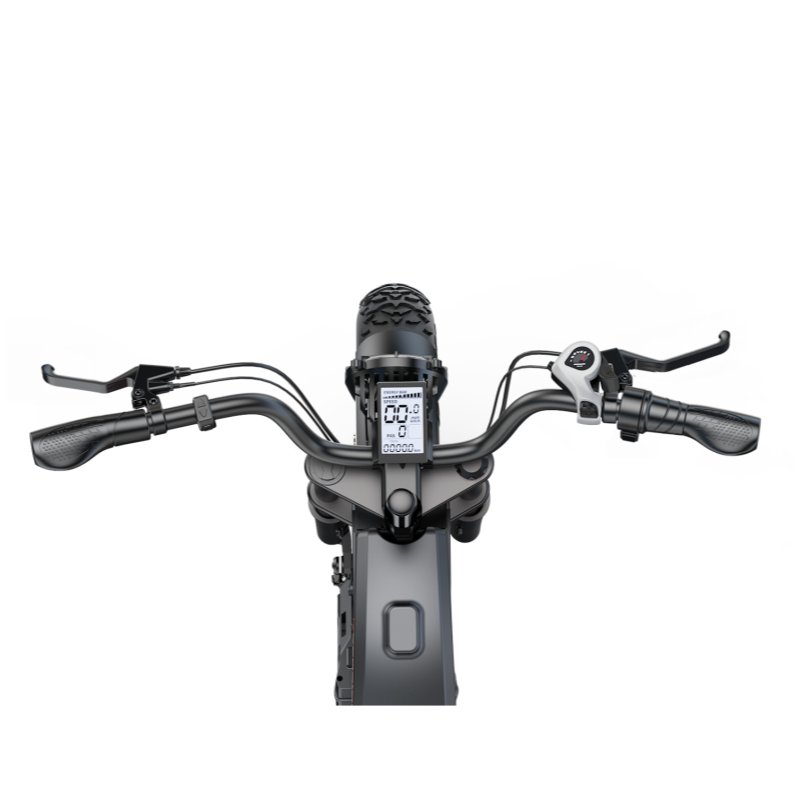 All-terrain Wide Tire Motorcycle Style Citycoco