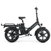 New Premium Fat Tire Wide Cargo Electric Citycoco