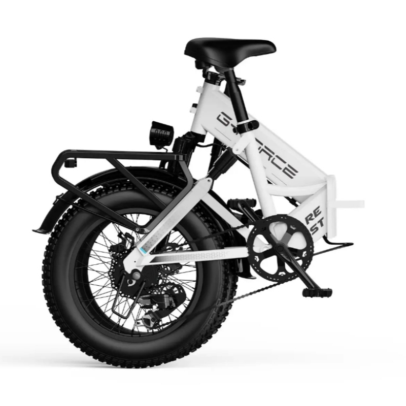 750W Affordable Folding Electric Citycoco