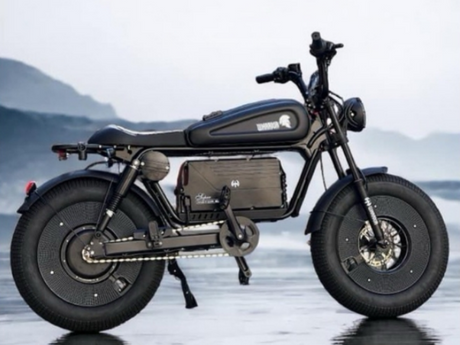 Electric bike (3).png