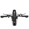 New Premium Fat Tire Wide Cargo Electric Citycoco
