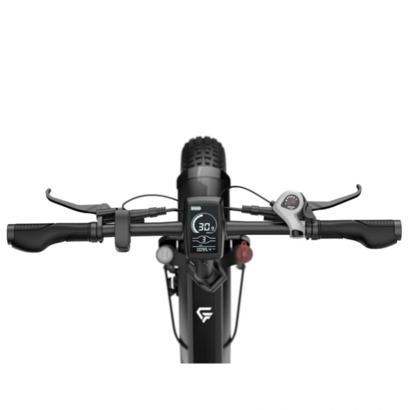 New Premium Fat Tire Wide Cargo Electric Citycoco