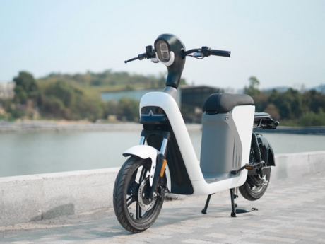Electric Scooter (7).png