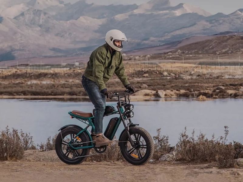 Off-road electric bikes (12)