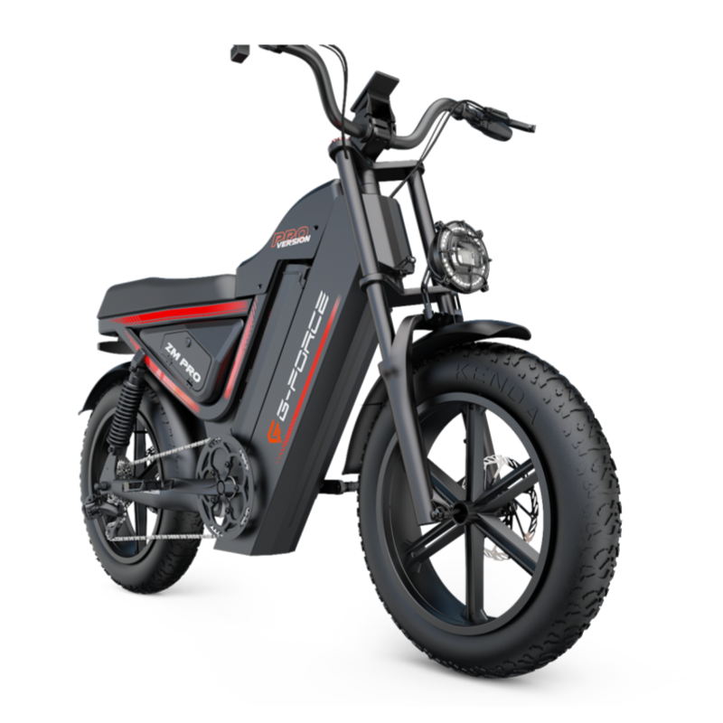 All-terrain Wide Tire Motorcycle Style Citycoco