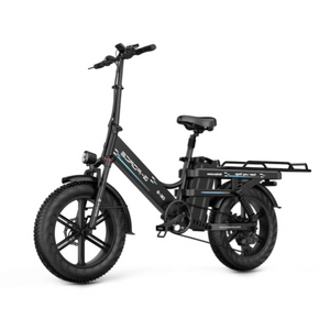 New Premium Fat Tire Wide Cargo Electric Citycoco