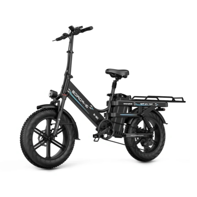 New Premium Fat Tire Wide Cargo Electric Citycoco