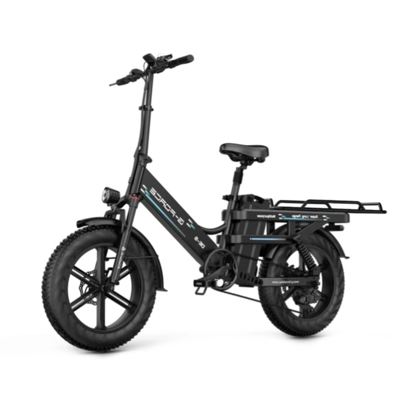 New Premium Fat Tire Wide Cargo Electric Citycoco
