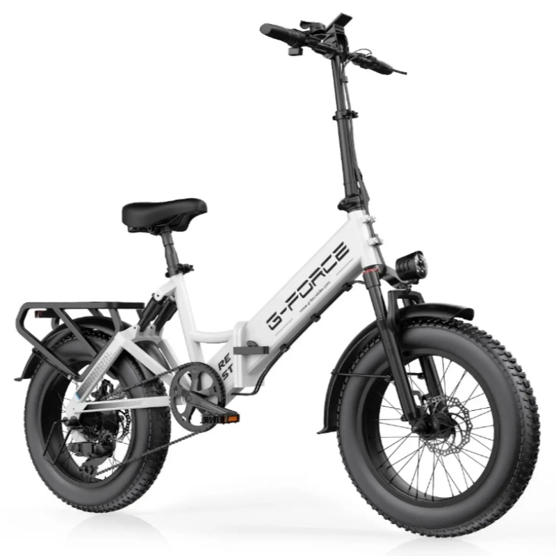 750W Affordable Folding Electric Citycoco