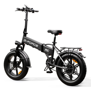 500W Foldable Electric Citycoco