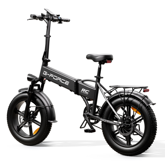 500W Foldable Electric Citycoco
