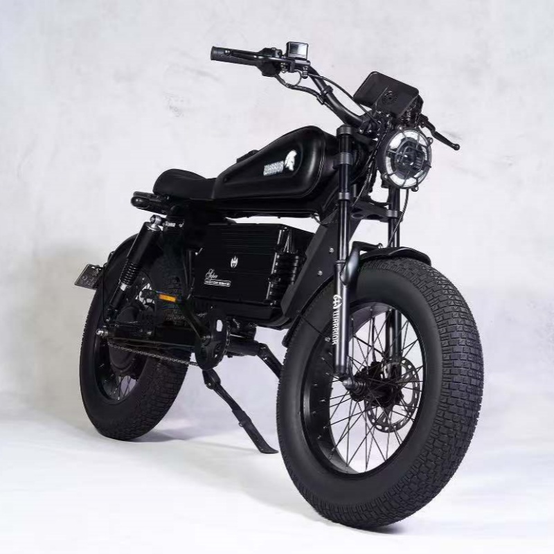 Hyper-Storm E-Bike